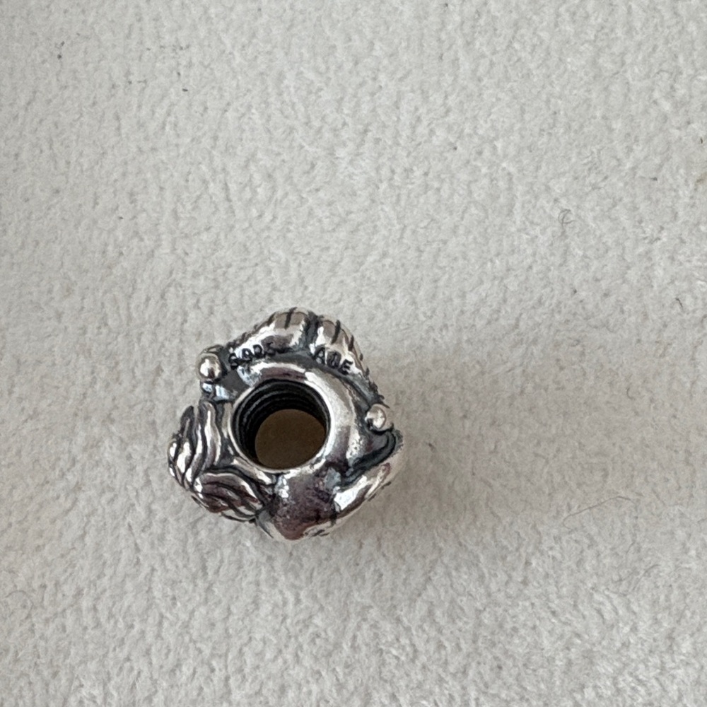 Pandora African Safari Silver Textured charm - Picture 5 of 6